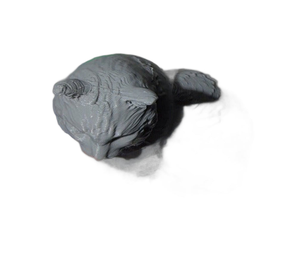Custom 3D printed cat figurine example, white background