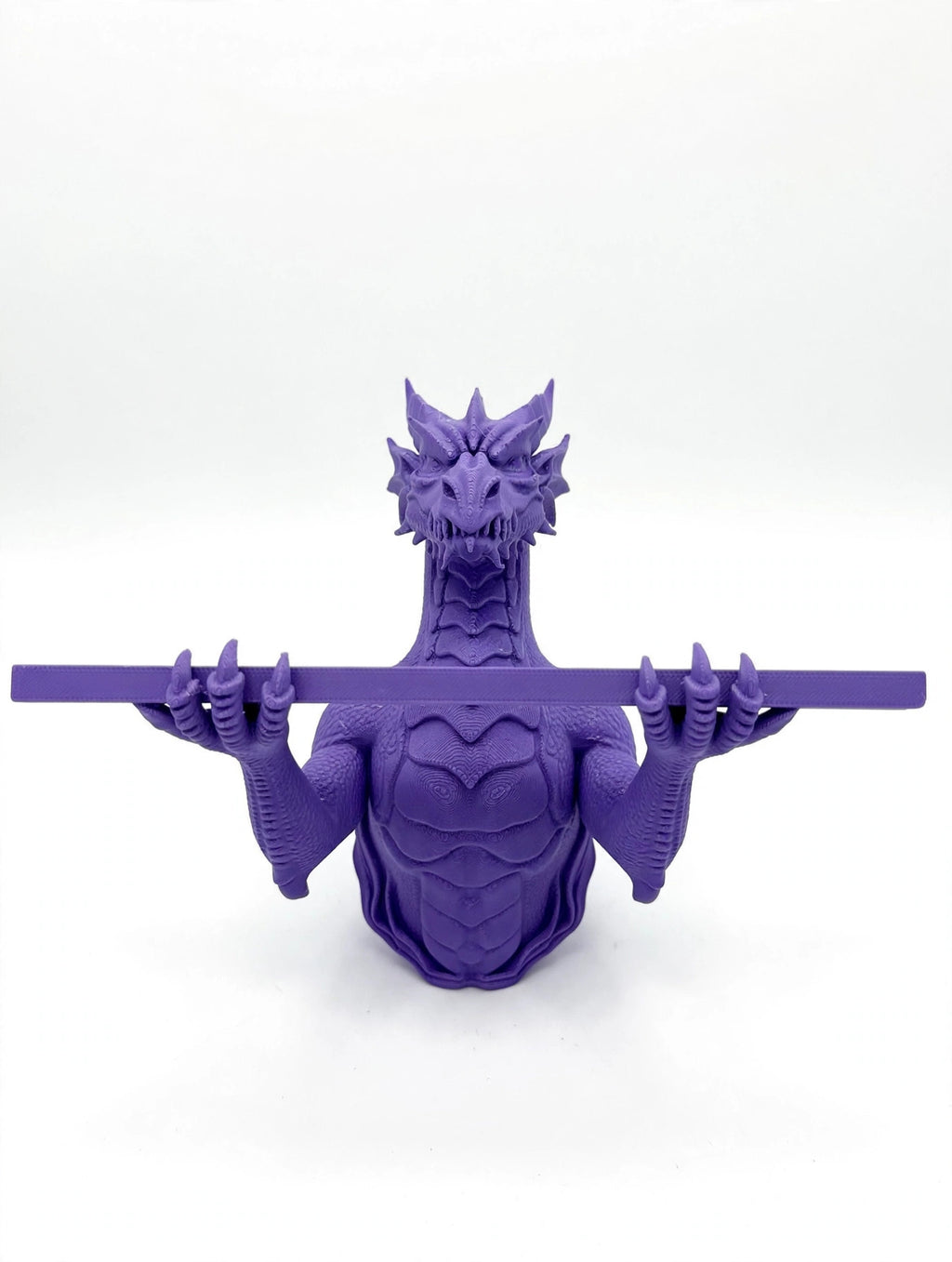3D printed dragon shelf, white background