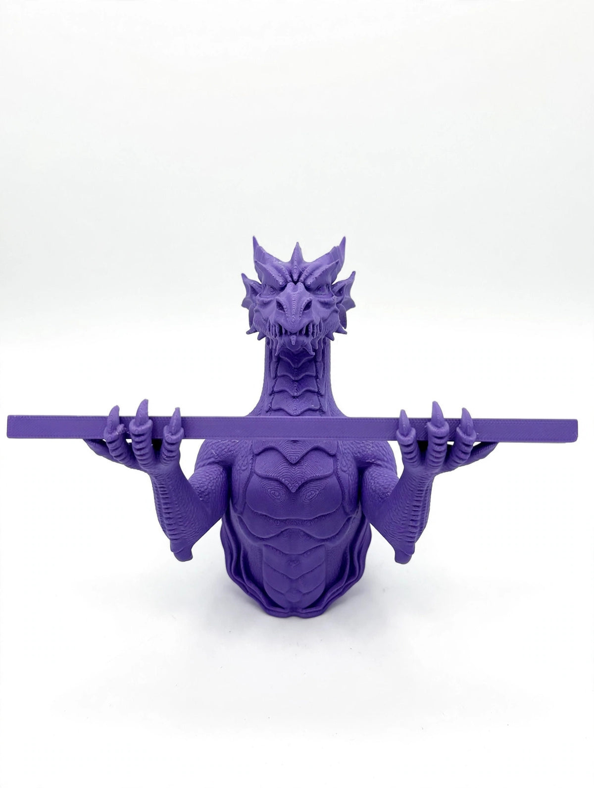 3D printed dragon shelf, white background