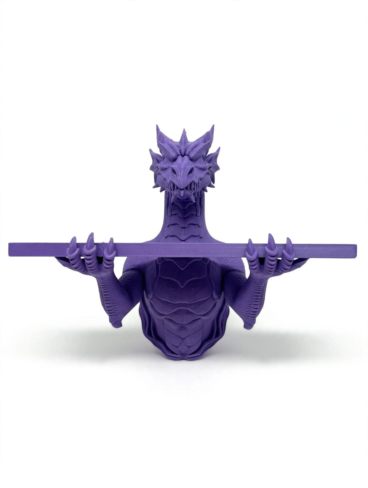3D printed dragon shelf, white background